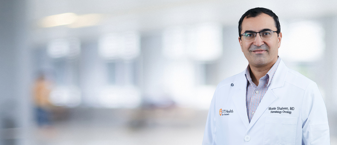 Monte Shaheen M.D. Provider Banner